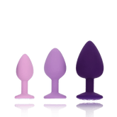 LITTLE GEMS TRAINER SET